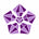 jewelmaze.co.in - Home